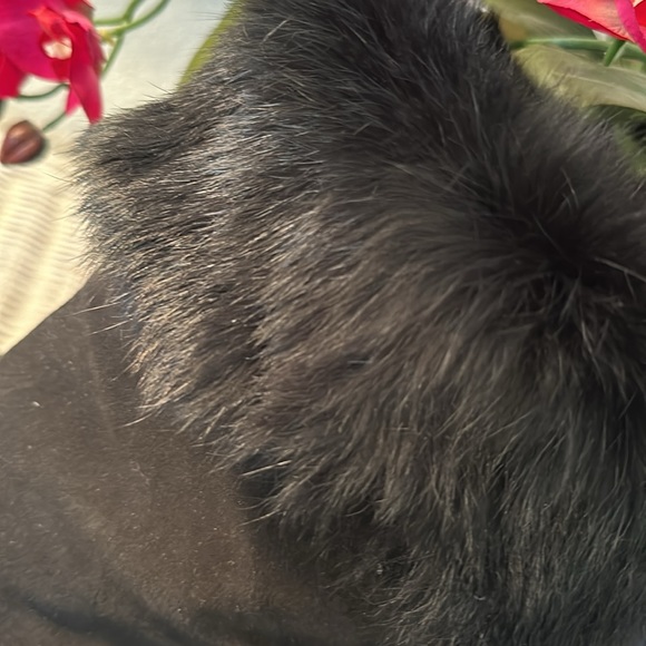 LIKE NEW AQUATALIA “PRINCE” suede/rabbit fur trim boots. Black. Size 9.5 EUC - Picture 8 of 10